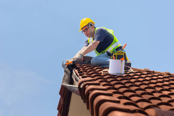 Best Emergency Roof Repair Services  in Corrales, NM